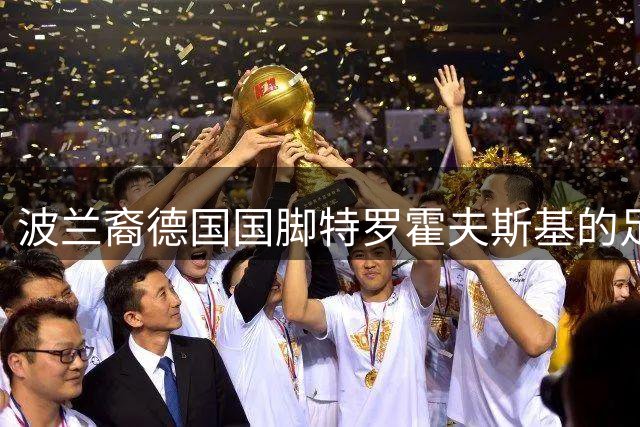 波兰裔德国国脚特罗霍夫斯基的足球人生：从拜仁失意到汉堡重生