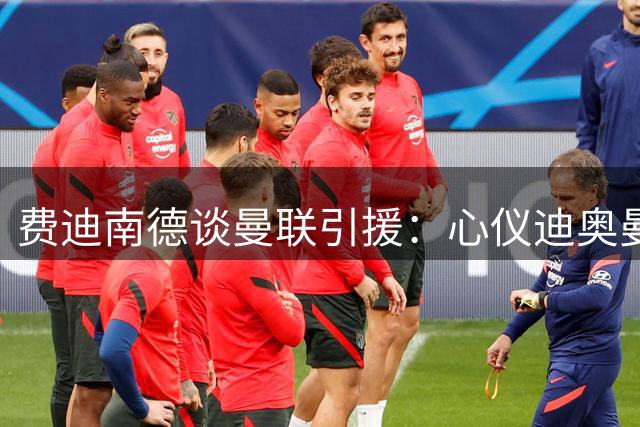 费迪南德谈曼联引援：心仪迪奥曼德但认可现有补强